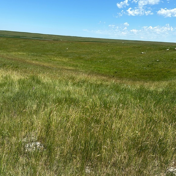 Meet your Posher, Laura - Picture 1 of 1